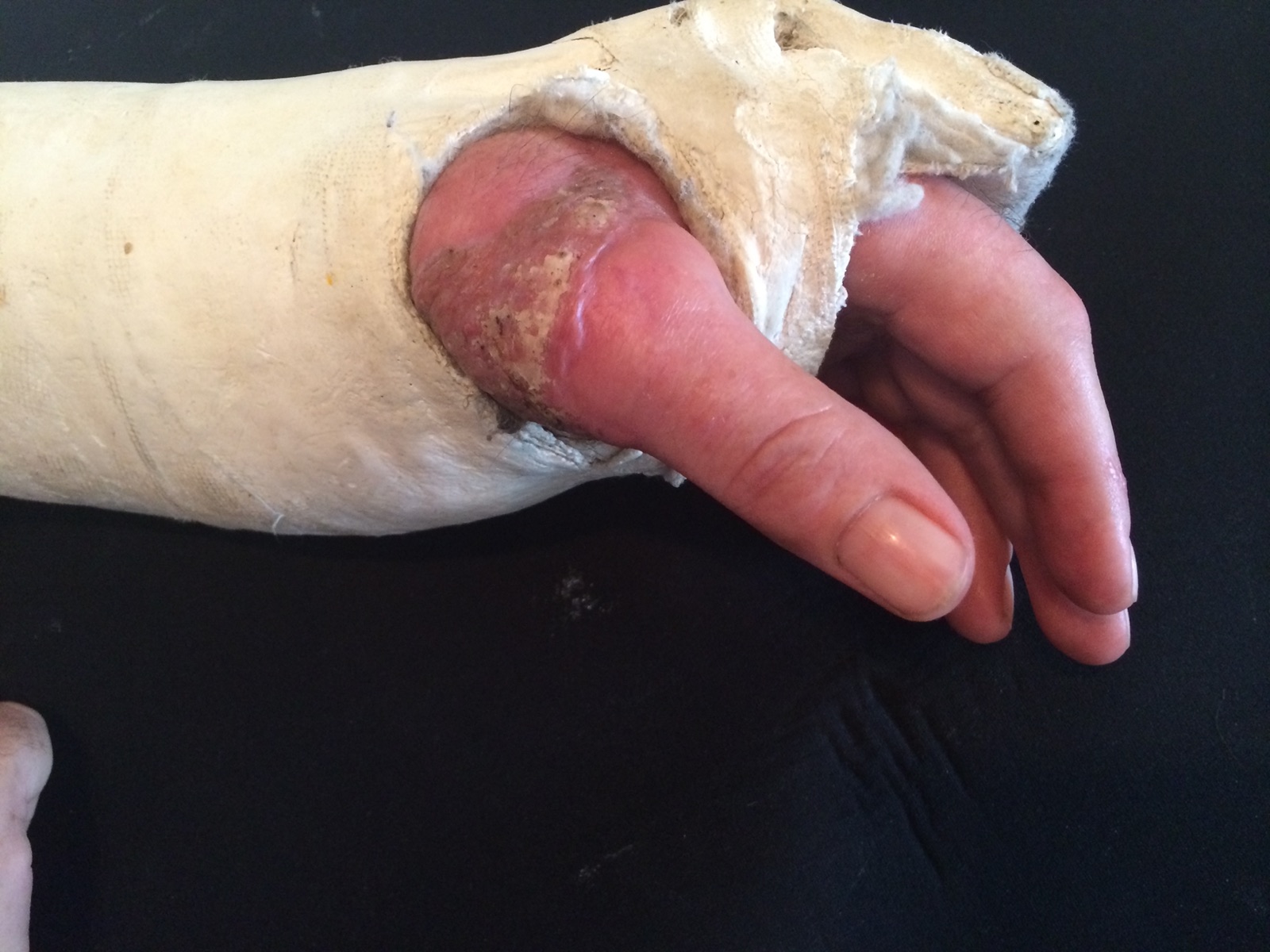 Cast 3 — frame 8 of 12